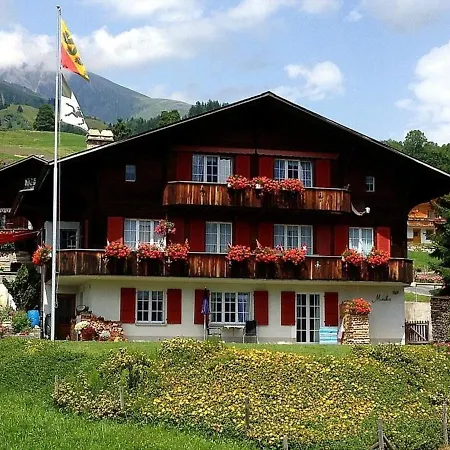 Apartman Chalet Mislin, Direkte Bergsicht