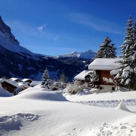 Chalet Mislin, Direkte Bergsicht