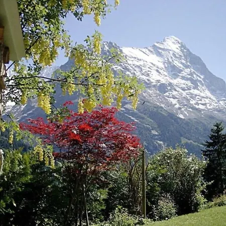 Chalet Mislin, Direkte Bergsicht * Grindelwald