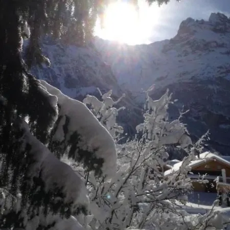 Chalet Mislin, Direkte Bergsicht * Grindelwald