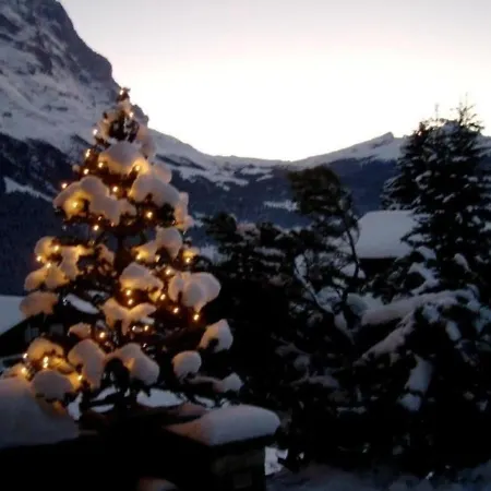 Chalet Mislin, Direkte Bergsicht *
